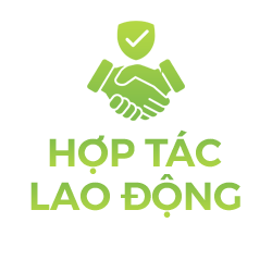 HỢP TÁC LAO ĐỘNG